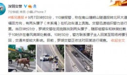 今日深圳爆料,揭秘城市热点事件背后的真相