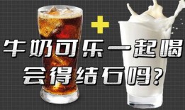 瓶子爆料最新视频大全,最新视频大全精彩瞬间大盘点